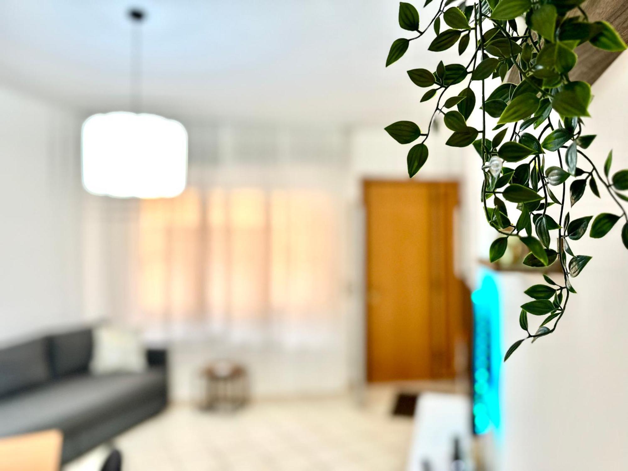 Domus Sofia Historic Center Rimini Apartment 外观 照片