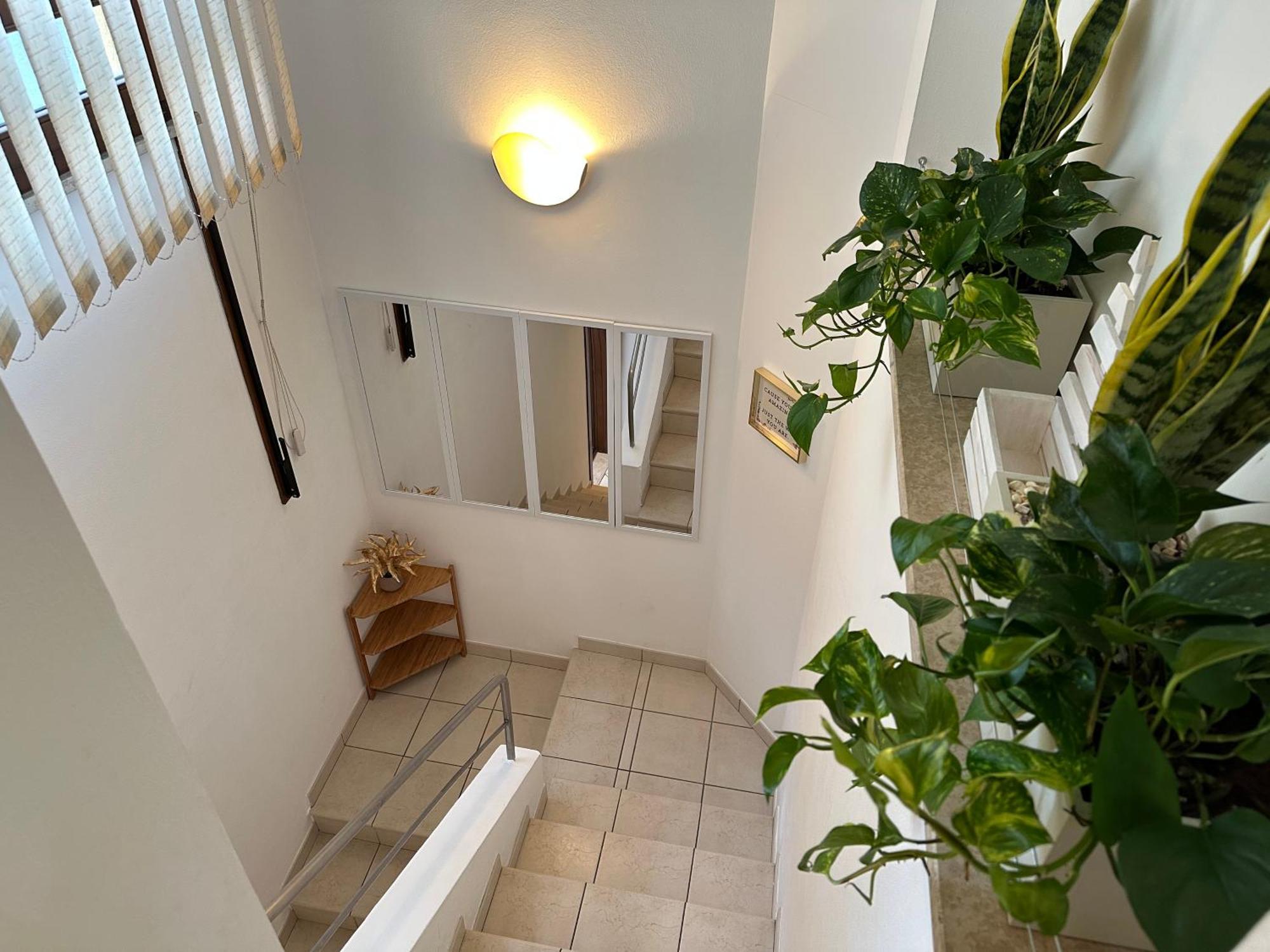 Domus Sofia Historic Center Rimini Apartment 外观 照片